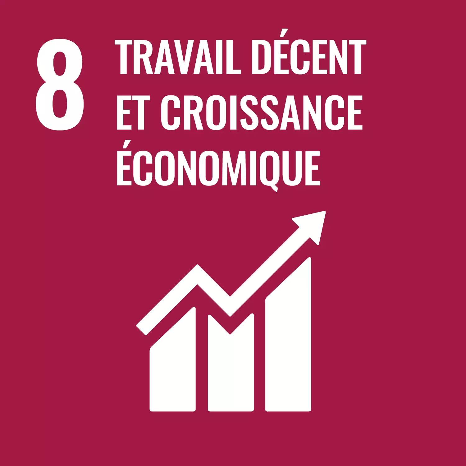 ODD 8 — Travail décent et croissance économique